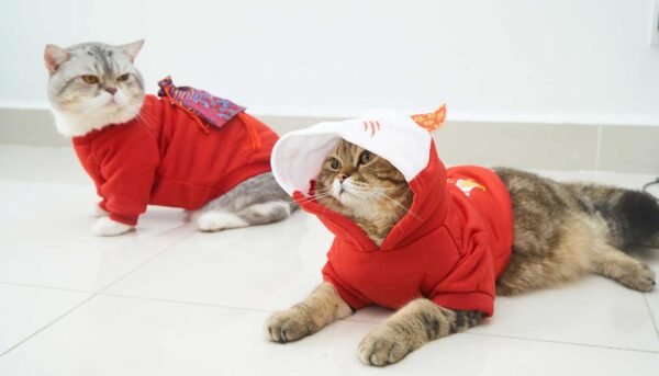 Gu Pets